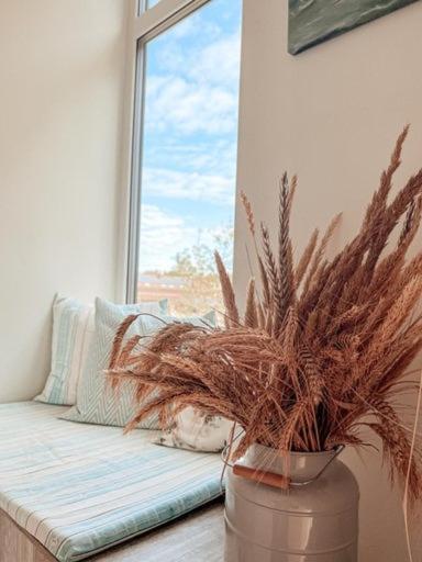 Zalia Kopa Apartments بالانغا المظهر الخارجي الصورة